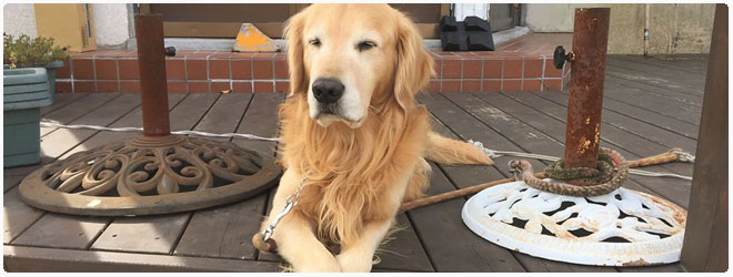 YAMABOKU 山田温泉 宿泊