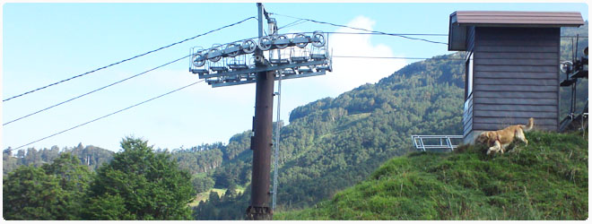 YAMABOKU 山田温泉 ヴィラ藤屋